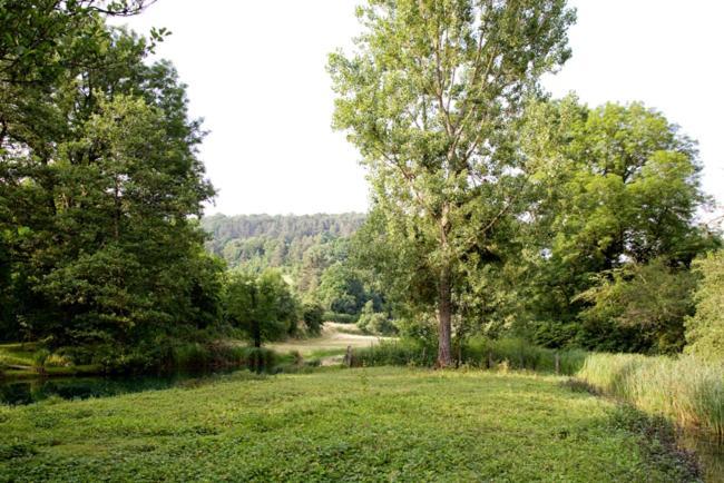 Gites La Forge De Sainte Marie Thonnance-les-Moulins Luaran gambar